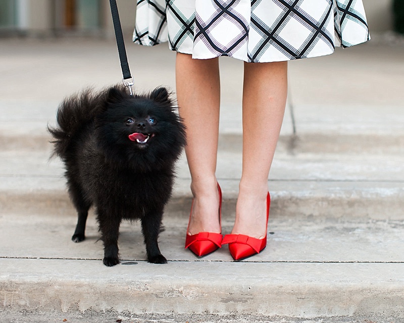 Kate Spade, Kate Spade Shoes, Bow Pumps, Red Pumps