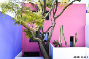 What-to-do-in-Mexico-City, Casa-Luis-Barragan, Mexico-City-Travel-Guide, Travel-Blogger