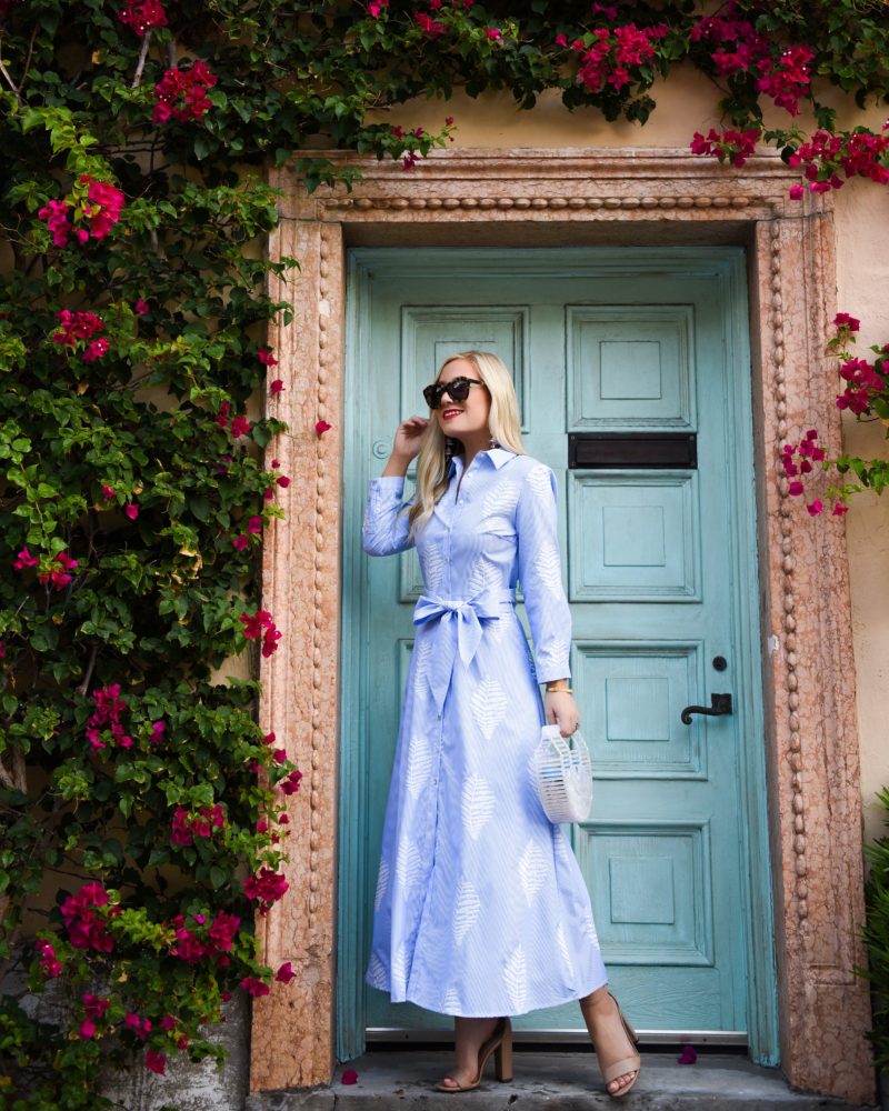 Palm Print Dress, Zara Dress, Blue and White Stripe Dress, Cult Gaia Arc Bag, Palm Beach, Travel Blogger, Lomurphy