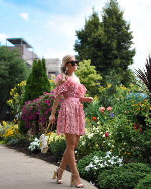 Nordstrom-Anniversary-Sale-Self-Portrait-Dress-Lo-Murphy-Gucci-Handbag